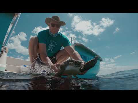 Sea Turtle Conservancy 60th anniversary | Certina Swiss watches x Sea Turtle Conservancy