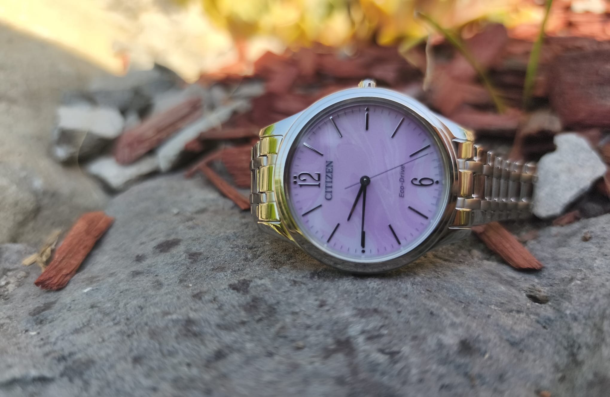 Uživatelská recenze nenápadnách Citizen Elegance EM0411-71X.